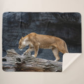 HAFTUNG SHERPADECKE (Vorderseite (Horizontal))