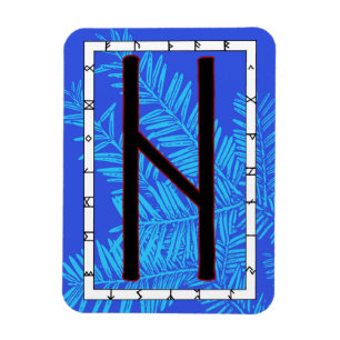 Hagalaz Viking Rune Magnet - Wandel!
