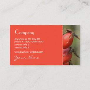 Hagebutte-Visitenkarte Visitenkarte