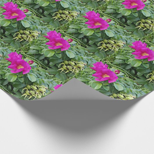 Hagebuttebeeren | geschenkpapier (Ecke)