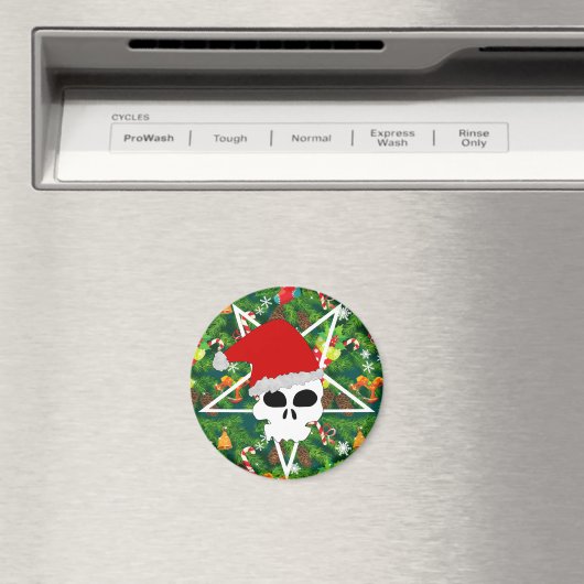 Hagesanta Magnet (In Situ (Geschirrspüler))