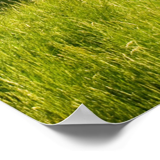 Haghpat Kloster Außenbereich Poster (Ecke)