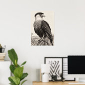 Hähenkarakara in Südtexas Graphit Poster (Heimbüro)
