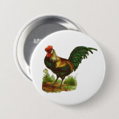 Hahn Button (Vorne & Hinten)