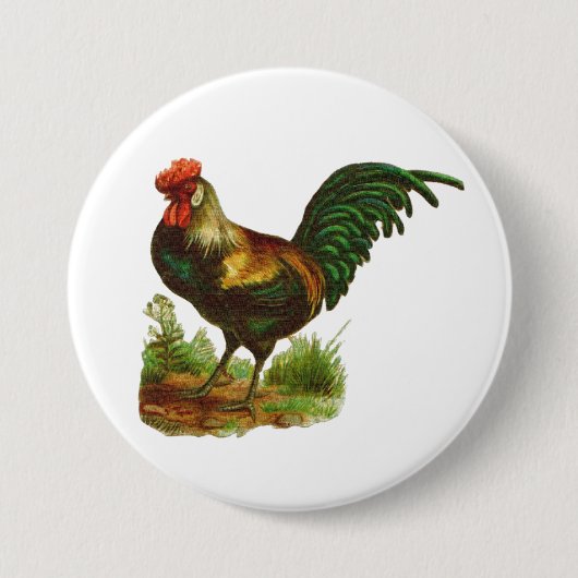 Hahn Button (Vorderseite)