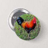 Hahn-EIn-Gekritzel-Tun Sie Button (Vorne & Hinten)