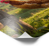 Hahn Fotodruck (Ecke)