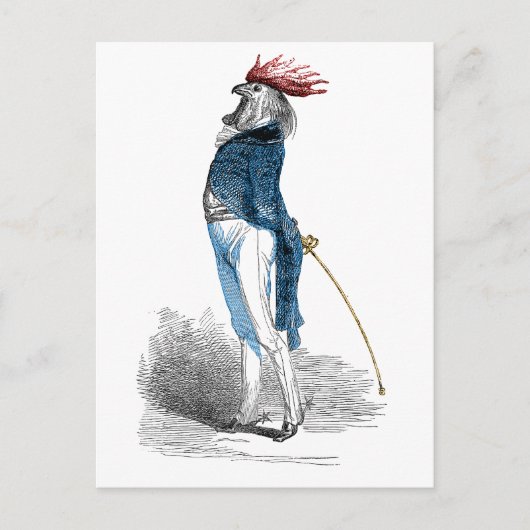 Hahn Gentleman Postkarte (Vorderseite)