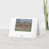 Hahn, Glückwünsche Karte (Rückseite)