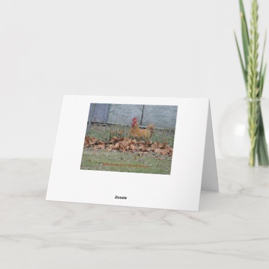 Hahn, Glückwünsche Karte (Rückseite)