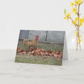 Hahn, Glückwünsche Karte (Gelbe Blume)