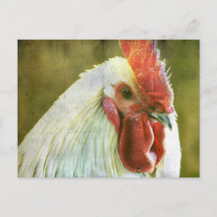 Hahn Grunge Postkarte