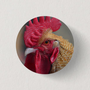 Hahn-Huhn Button