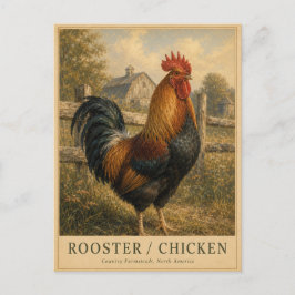 Hahn Hühner Bauernhof VINTAGE Postkarte