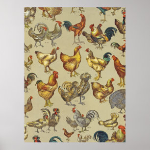 Hahn Hühner Farm Landtier Poster