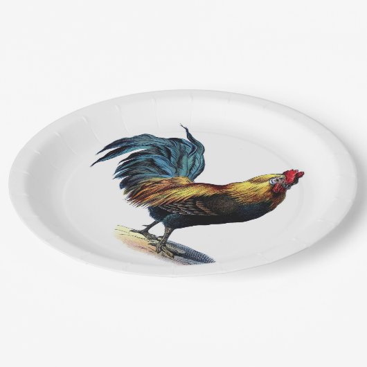 Hahn-Illustration #1 Pappteller (Schrägansicht)