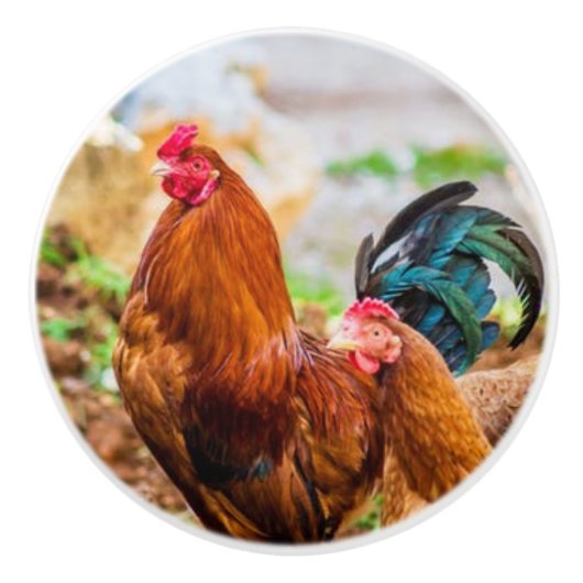 Hahn-Keramikgriffe Keramikknauf (Vorderseite)