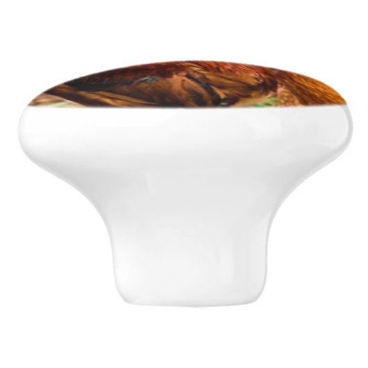 Hahn-Keramikgriffe Keramikknauf (Seitenansicht)