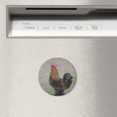 Hahn Magnet (In Situ (Geschirrspüler))