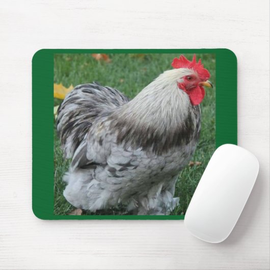 Hahn Mousepad (Mit Mouse)