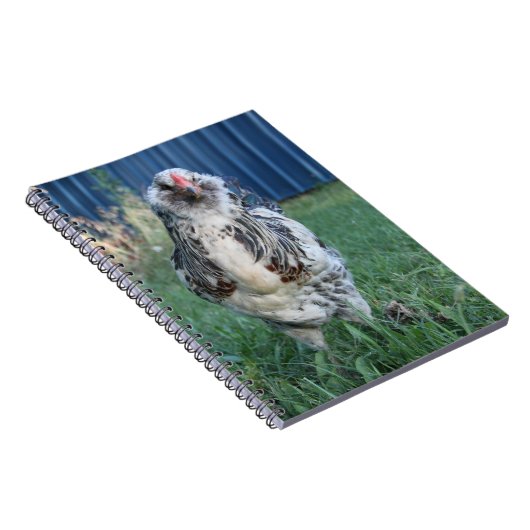 Hahn Ostern Egger Notizblock (Rechte Seite)