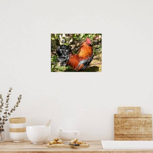 Hahn Poster (Küche)