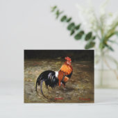 Hahn Postkarte (Stehend Vorderseite)