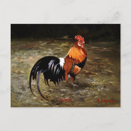 Hahn Postkarte (Vorderseite)