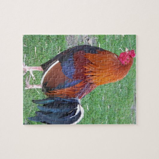 Hahn Puzzle (Horizontal)