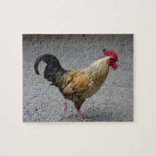 Hahn-Puzzlespiel Puzzle