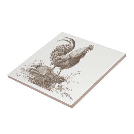 Hahn reizend Sepia-Tonillustration Fliese (Seite)