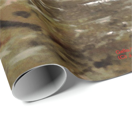 Hahn/Rooster/Gallisch Geschenkpapier (Rolleneckpunkt)