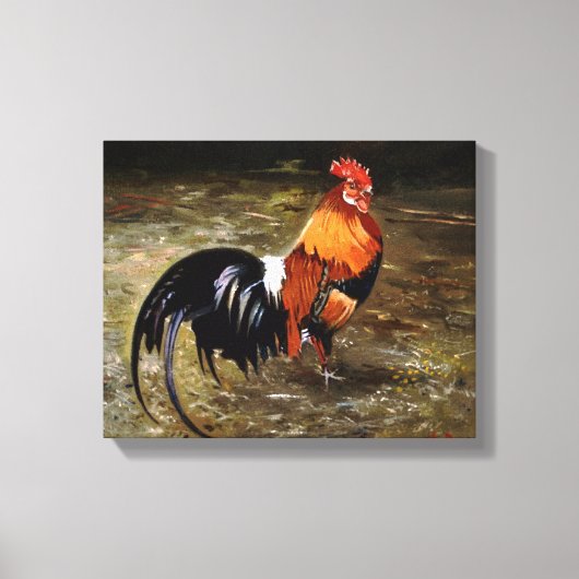 Hahn/Rooster/Gallisch Leinwanddruck (Vorderseite)
