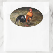 Hahn/Rooster/Gallisch Ovaler Aufkleber (Tasche)