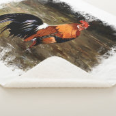 Hahn/Rooster/Gallisch Sherpadecke (3/4)
