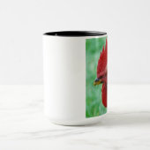 HAHN-TASSE TASSE (Zentrum)
