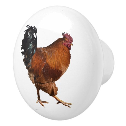 Hahn-Türknäufe Keramikknauf (Rechts)