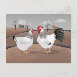 Hahn und Henne Postkarte