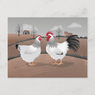 Hahn und Henne Postkarte