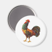 Hahn Vintage Küchenkiste Kunst Magnet (Vorderseite/Rückseite)