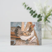 Hähnchen-Art-Portrait-Postkarten Postkarte (Stehend Vorderseite)