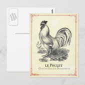 Hähnchen Chicken Postkarte (Vorne/Hinten)