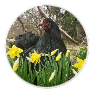 Hähnchen-Hähnchen, schwarz, in Hülsenfrüchten  Keramikknauf