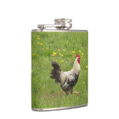 Hähnchen, Hähnchen, Tiere, Vögel, landwirtschaftli Flachmann (Rechts)