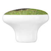 Hähnchen, Hähnchen, Tiere, Vögel, landwirtschaftli Keramikknauf (Seitenansicht)