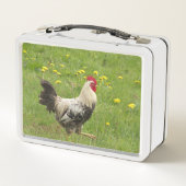 Hähnchen, Hähnchen, Tiere, Vögel, landwirtschaftli Metall Brotdose (Rückseite)