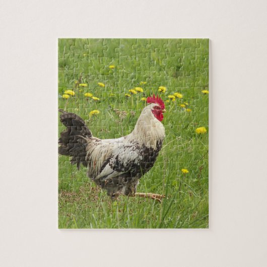 Hähnchen, Hähnchen, Tiere, Vögel, landwirtschaftli Puzzle (Vertikal)