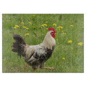 Hähnchen, Hähnchen, Tiere, Vögel, landwirtschaftli Schneidebrett (Vorderseite)