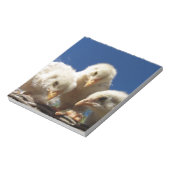 Hähnchen Notizblock (Rotiert)