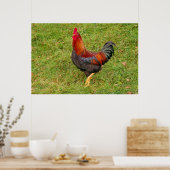 Hähnchen Poster (Küche)